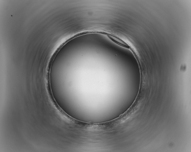 X0000090921093200708131428