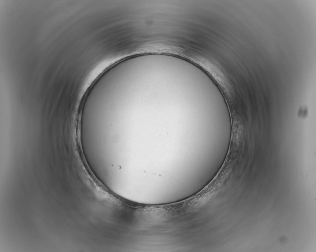 X0000090921094200708131428