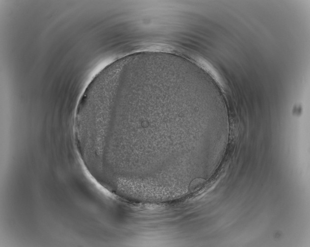 X0000090921095200708131428