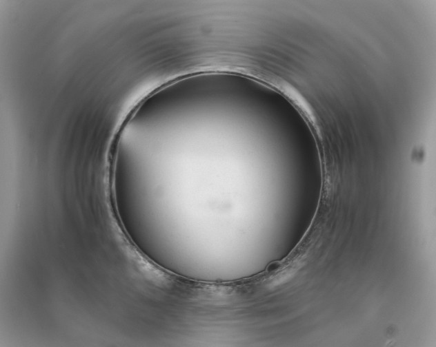 X0000090921096200708131428