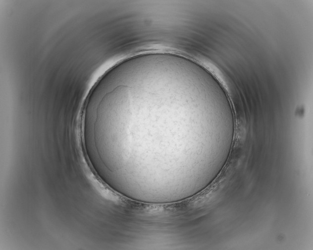 X0000090921098200708131428