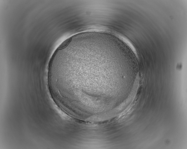 X0000090921099200708131428