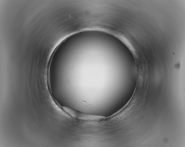 X0000090921100200708131428