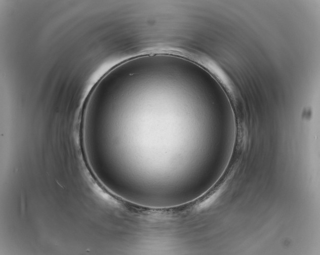 X0000090921102200708131428