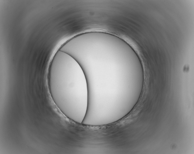 X0000090921104200708131428