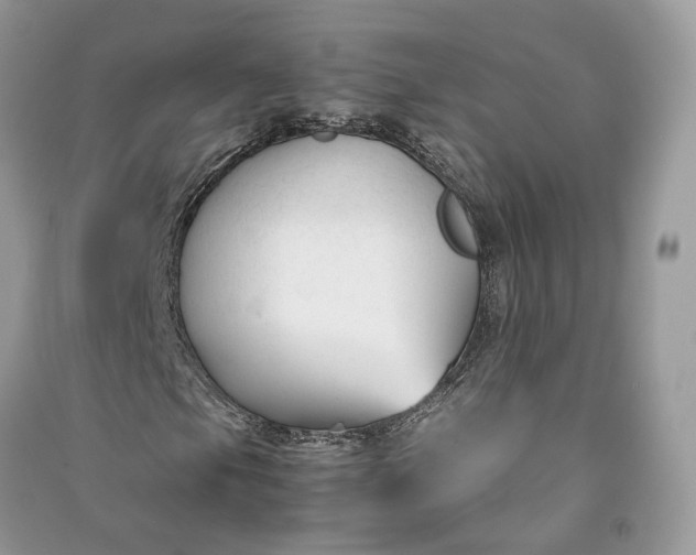 X0000090921105200708131427