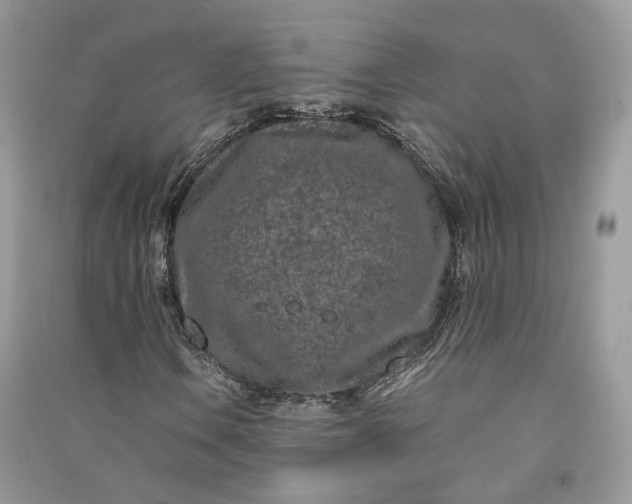 X0000090921106200708131427