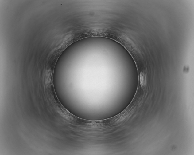 X0000090921107200708131427