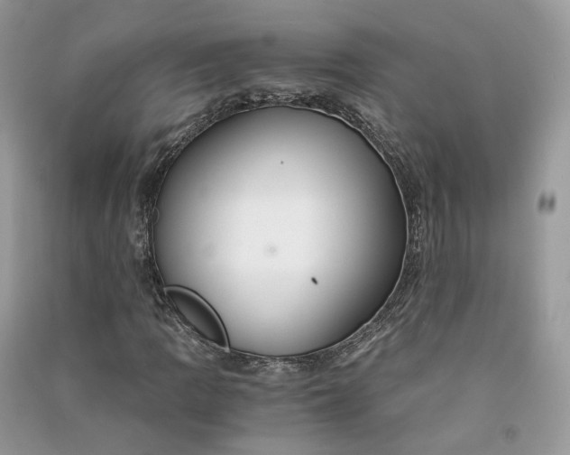 X0000090921109200708131427