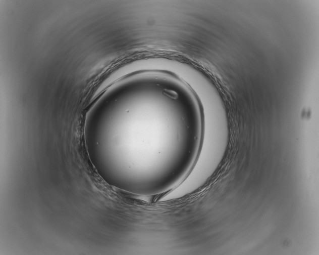 X0000090921110200708131427