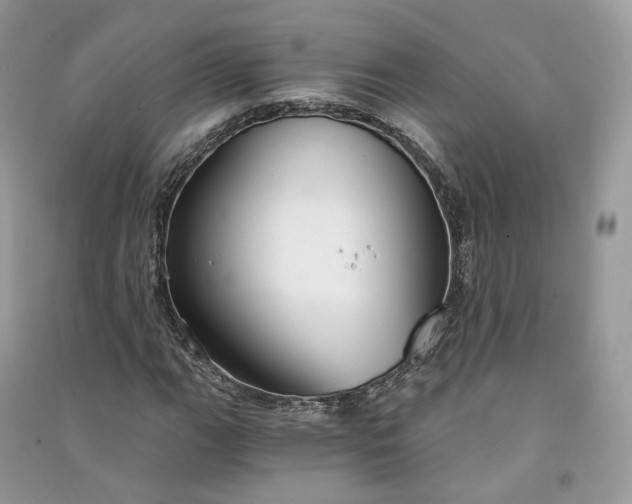 X0000090921111200708131427