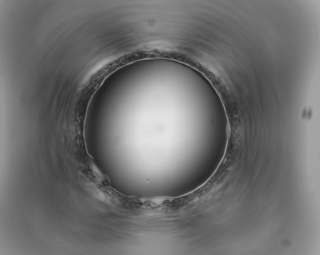 X0000090921112200708131427