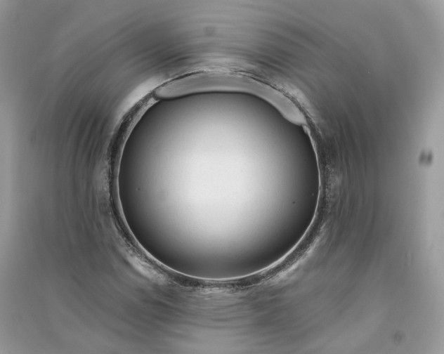 X0000090921114200708131427