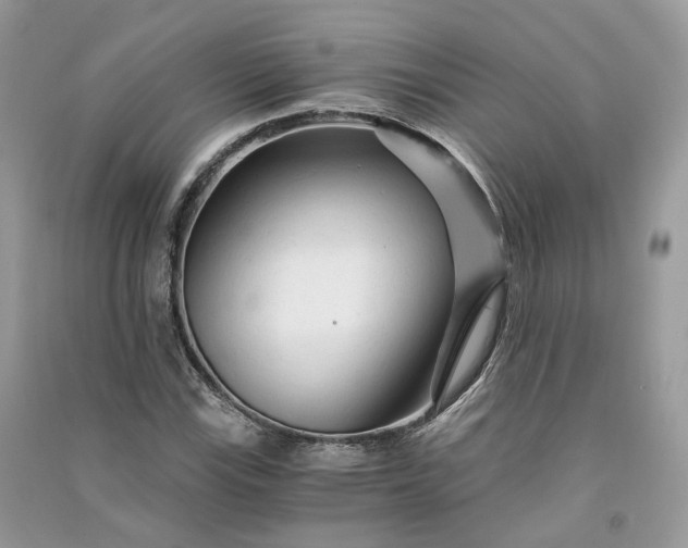 X0000090921115200708131427