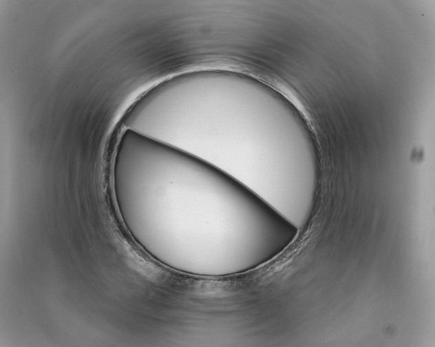 X0000090921116200708131427