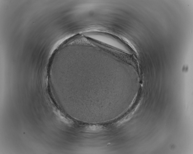 X0000090921117200708131427