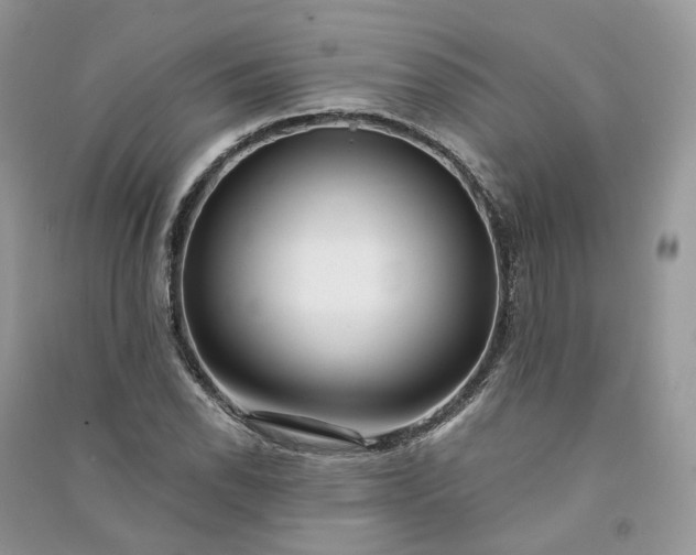 X0000090921118200708131427