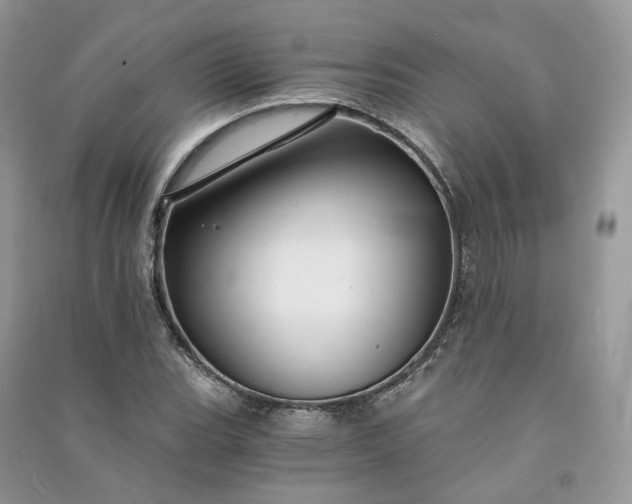 X0000090921119200708131427