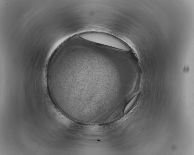 X0000090921120200708131427