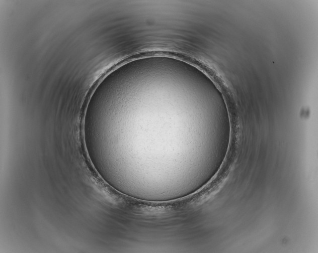 X0000090921121200708131427