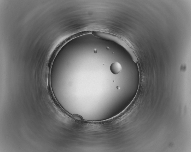 X0000090921123200708131427