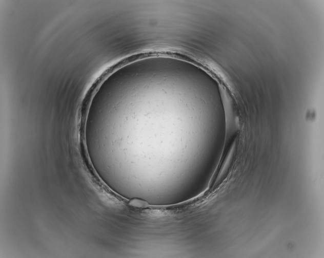 X0000090921124200708131427