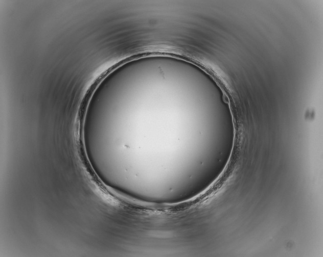 X0000090921125200708131427