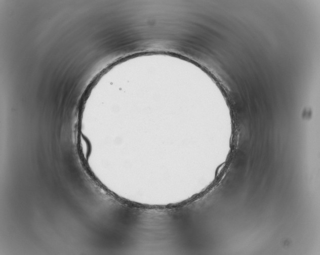 X0000090921126200708131427