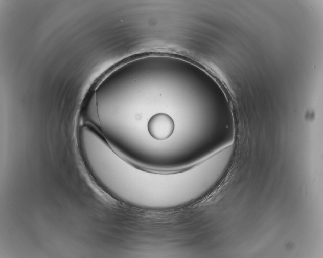 X0000090921128200708131427