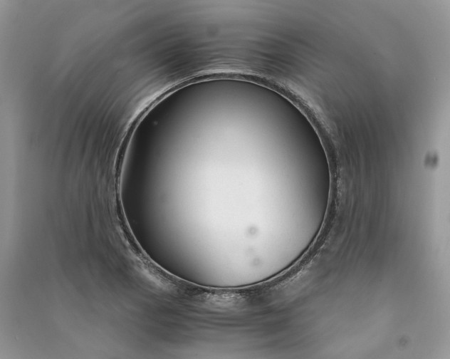 X0000090921129200708131427