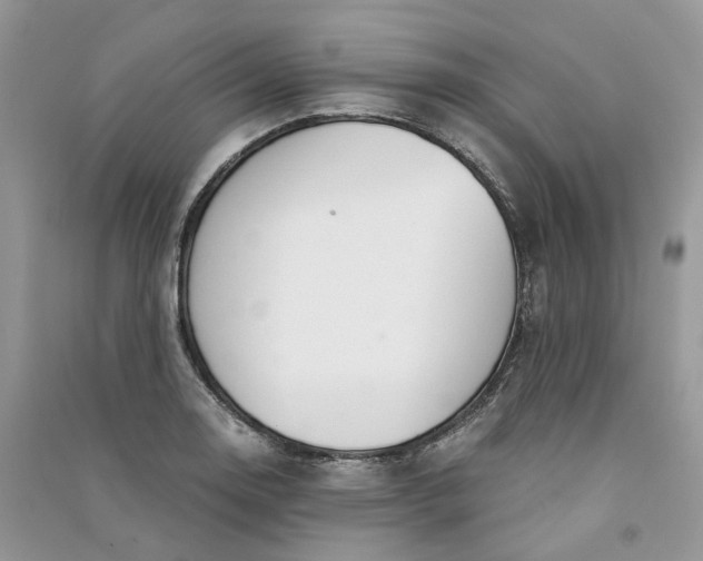 X0000090921130200708131427