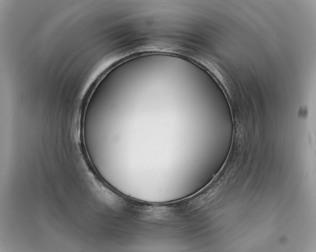 X0000090921131200708131427