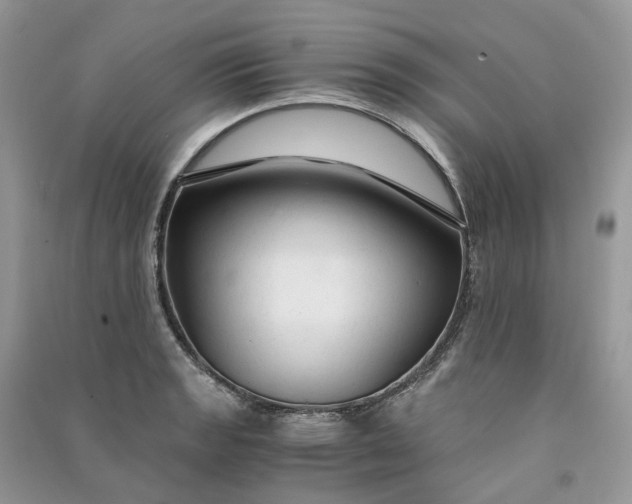 X0000090921133200708131427