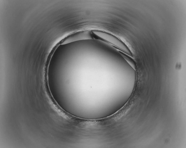 X0000090921134200708131427