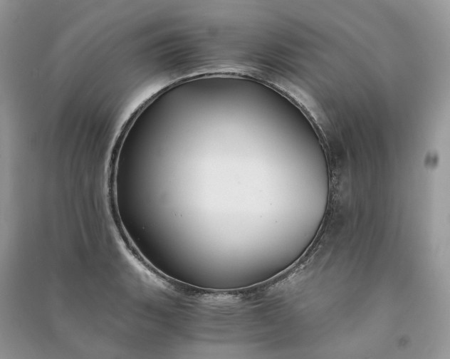 X0000090921135200708131427