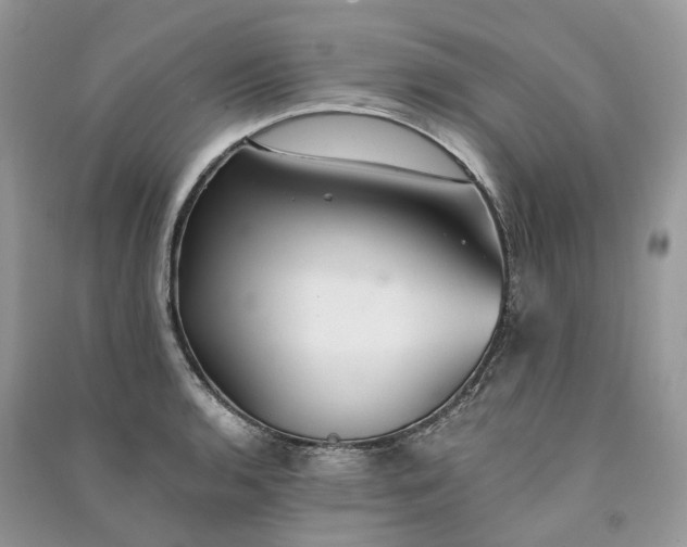 X0000090921136200708131427