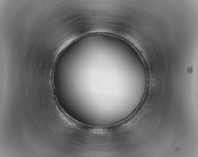 X0000090921137200708131427