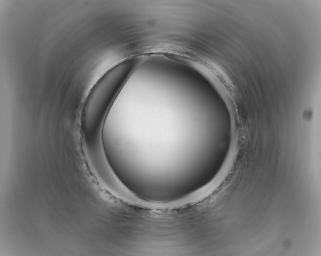 X0000090921138200708131427