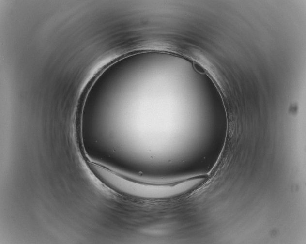 X0000090921139200708131427