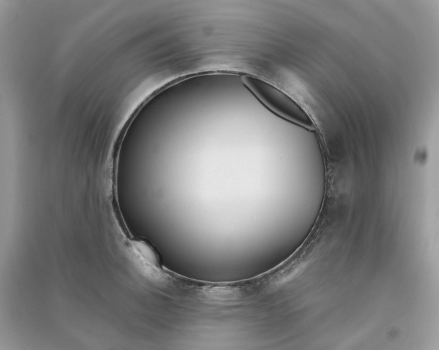 X0000090921140200708131427