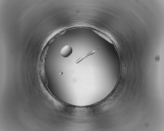 X0000090921142200708131427