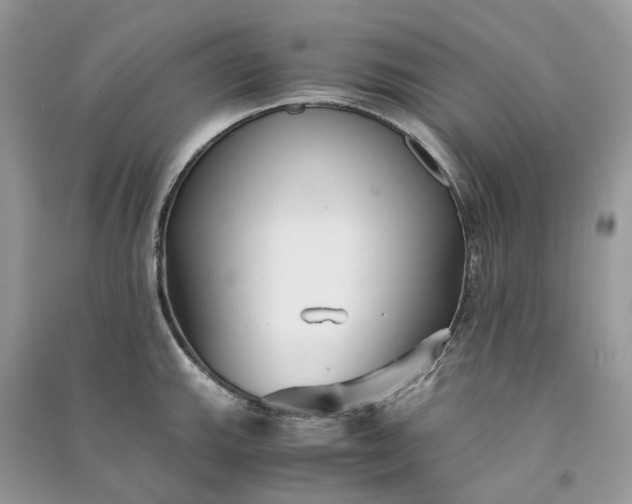 X0000090921143200708131427