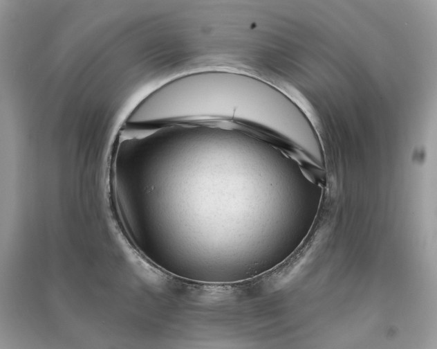 X0000090921144200708131427