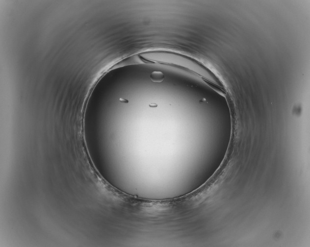 X0000090921145200708131427