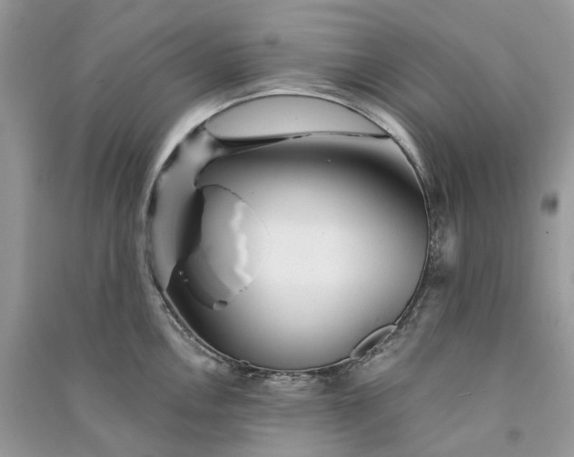 X0000090921146200708131427