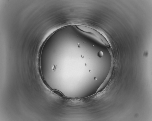 X0000090921147200708131427