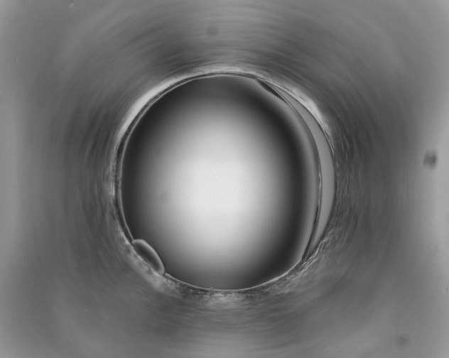 X0000090921148200708131427