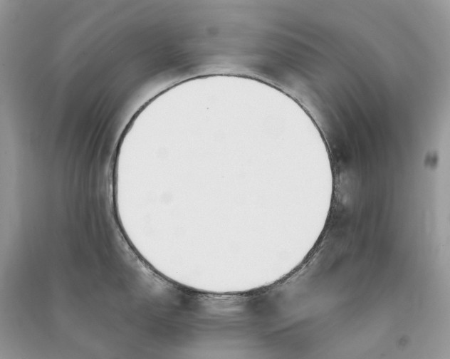 X0000090921150200708131427