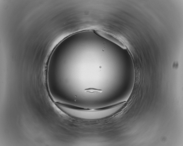 X0000090921151200708131428