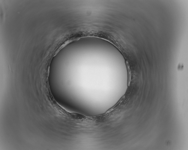 X0000090921153200708131427